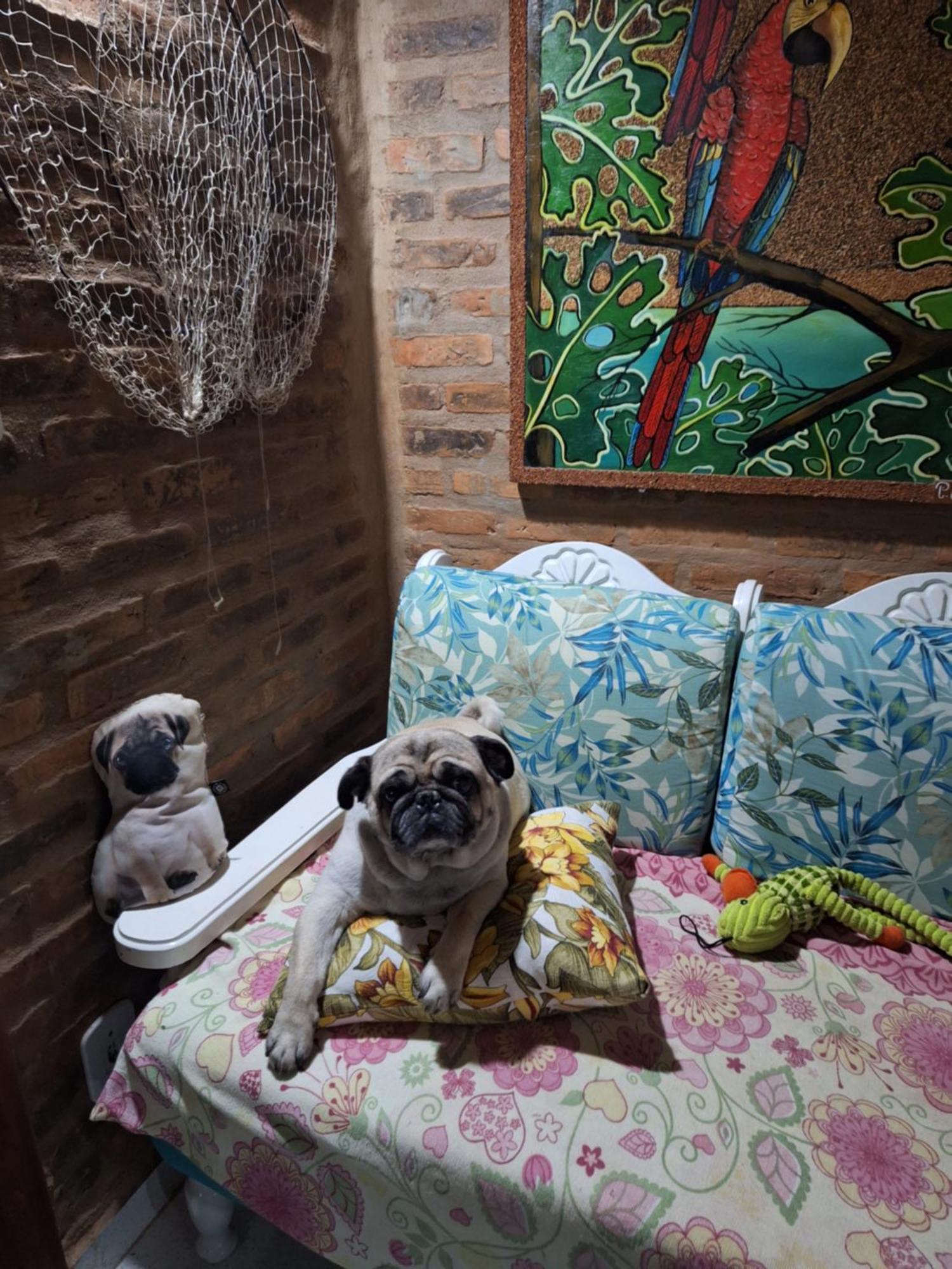 Casas Lindas No Paraiso! Costa Dourada Экстерьер фото