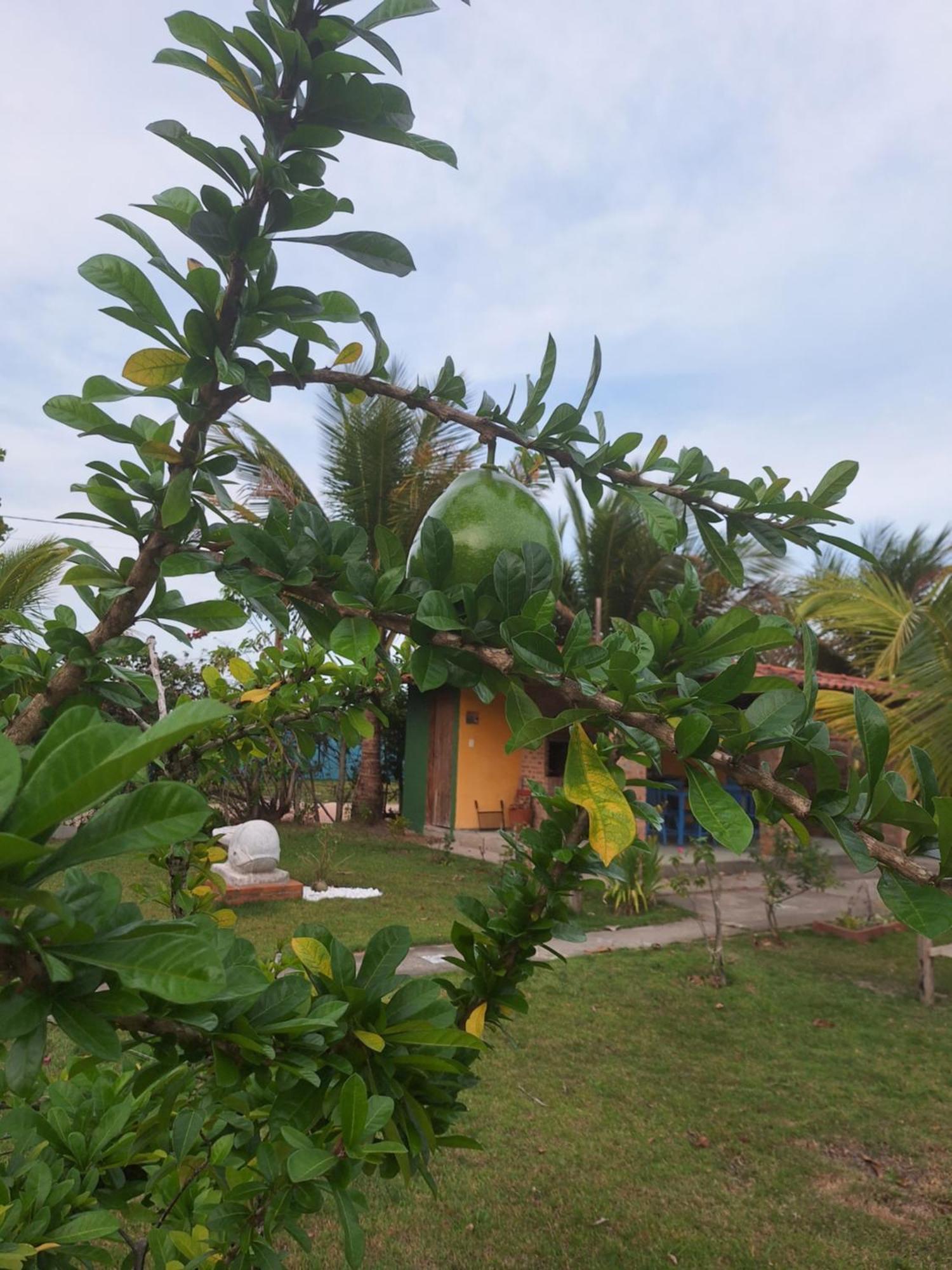 Casas Lindas No Paraiso! Costa Dourada Номер фото